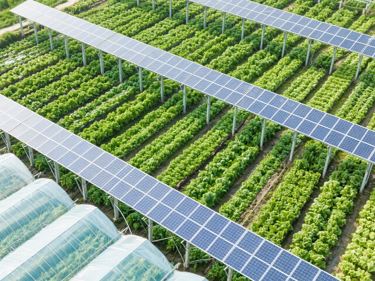 Que tipo de sistema de suporte é normalmente usado em fazendas solares?