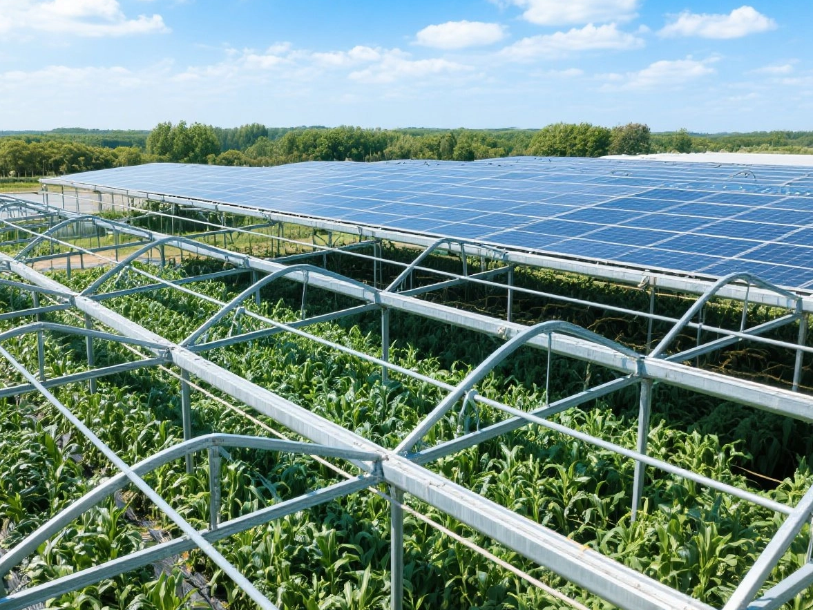 Como os sistemas de montagem impulsionam o sucesso das fazendas solares?