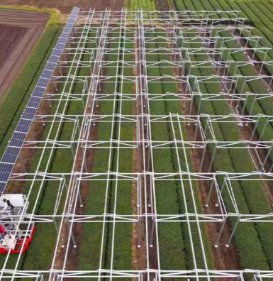 O que são fazendas solares usadas para