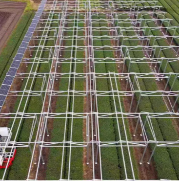 LifePo4 Battery Fire o que você precisa saber